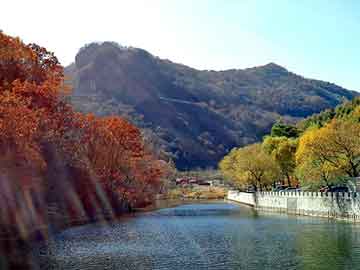 管家婆黑白马报图库，溶剂油